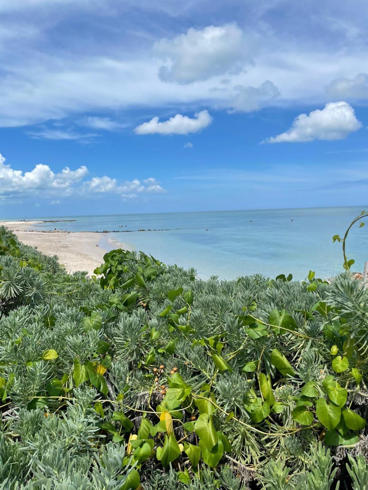 El Paraíso en la tierra de Capitán Fernando Chelem Exterior foto